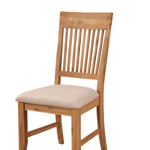 Aspen Rustic Modern Side Chair